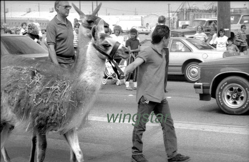 Man walks down street - walks, w/