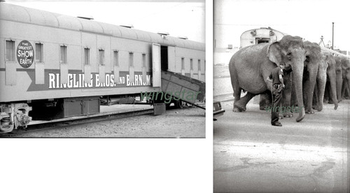 Ringling barnum circus train - ringling,